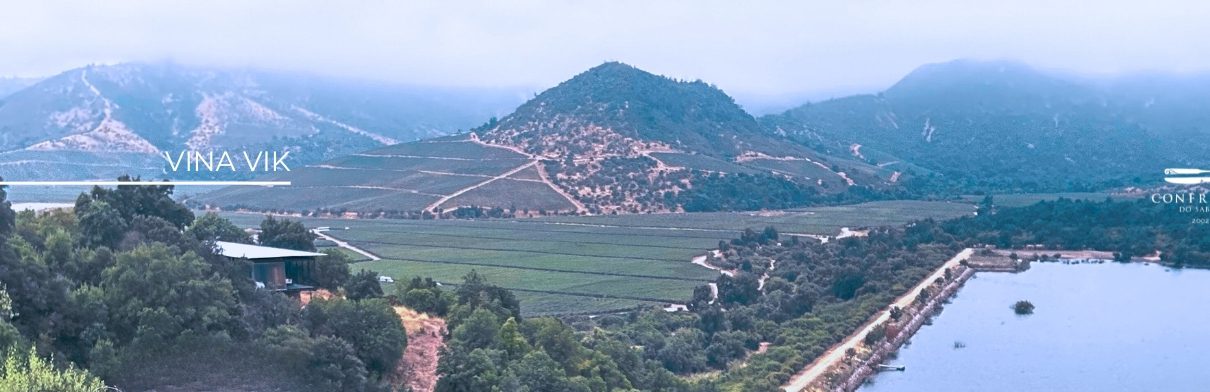 Localizada no coração do Vale de Millahue, conhecido como "Vale de Ouro", a Vinícola VIK é uma revolução no mundo dos vinhos de altíssima qualidade.