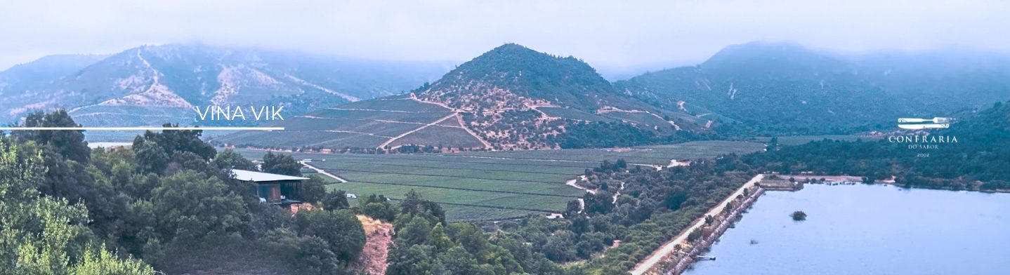 Localizada no coração do Vale de Millahue, conhecido como "Vale de Ouro", a Vinícola VIK é uma revolução no mundo dos vinhos de altíssima qualidade.